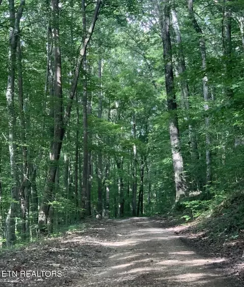 Lots 13, Maynardville, TN 37807