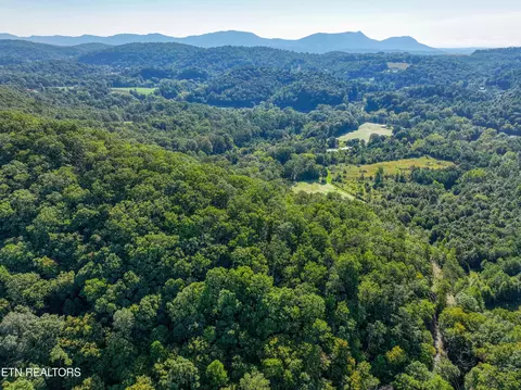 Bailey Drive, Luttrell, TN 37779 photo 38
