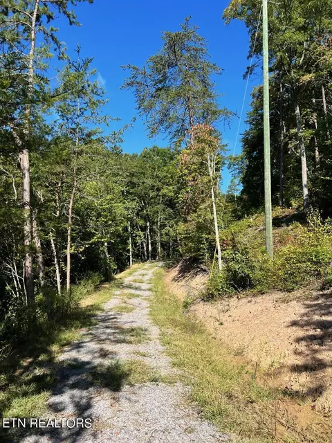 Bailey Drive, Luttrell, TN 37779 photo 27
