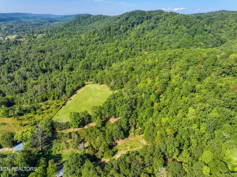 Bailey Drive, Luttrell, TN 37779 photo 32