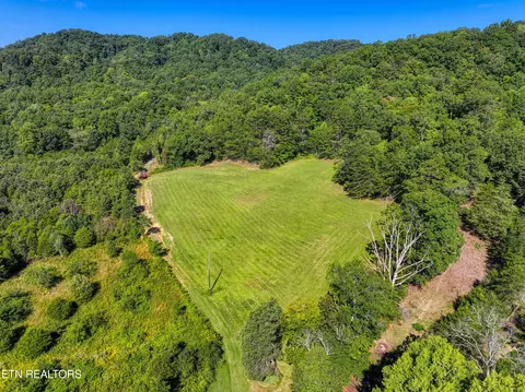 Bailey Drive, Luttrell, TN 37779 photo 15