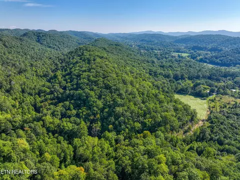 Bailey Drive, Luttrell, TN 37779 photo 39