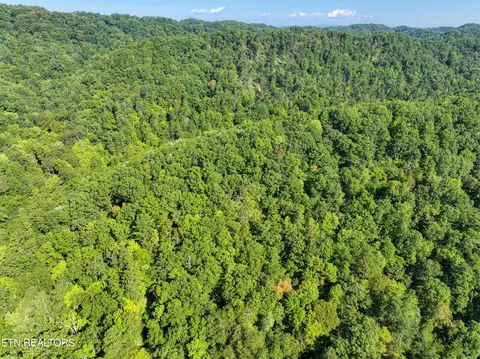 Bailey Drive, Luttrell, TN 37779 photo 44