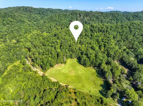 Bailey Drive, Luttrell, TN 37779 photo 16