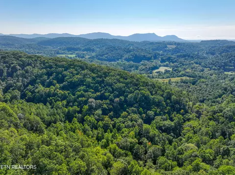Bailey Drive, Luttrell, TN 37779 photo 28