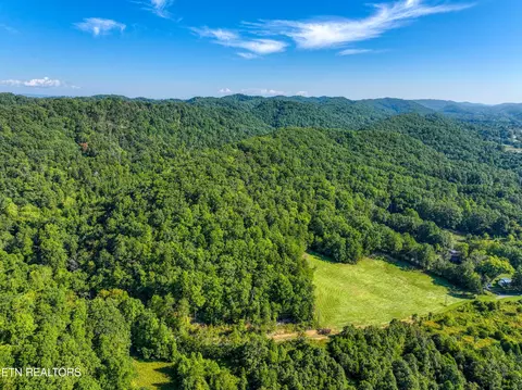 Bailey Drive, Luttrell, TN 37779 photo 43