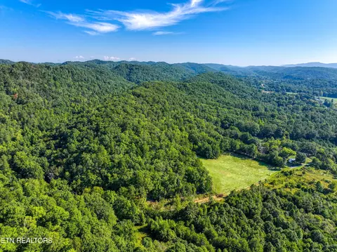 Bailey Drive, Luttrell, TN 37779 photo 42