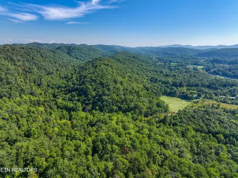Bailey Drive, Luttrell, TN 37779 photo 41