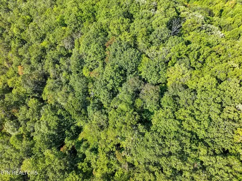 Bailey Drive, Luttrell, TN 37779 photo 35
