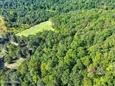 Bailey Drive, Luttrell, TN 37779 photo 34