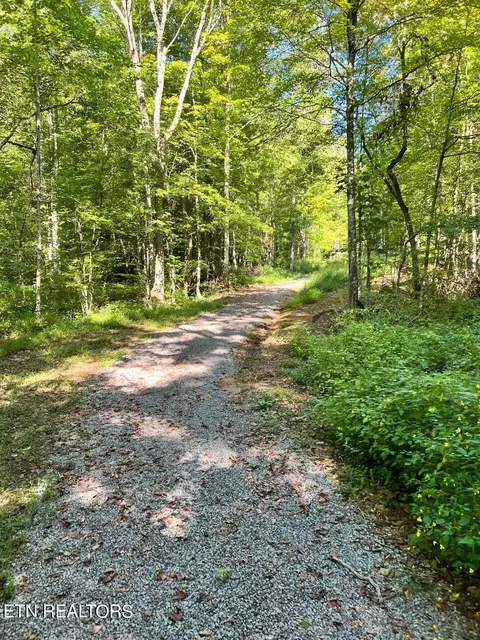 Bailey Drive, Luttrell, TN 37779 photo 26