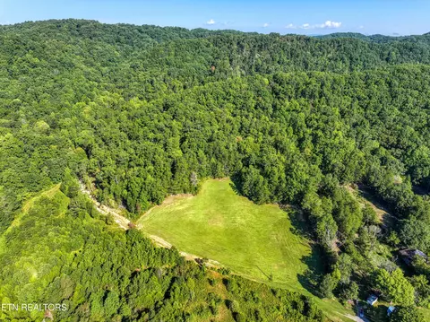 Bailey Drive, Luttrell, TN 37779 photo 18