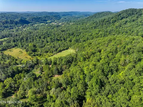 Bailey Drive, Luttrell, TN 37779 photo 33