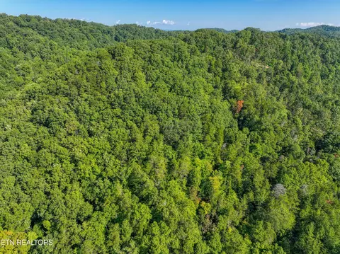 Bailey Drive, Luttrell, TN 37779 photo 29