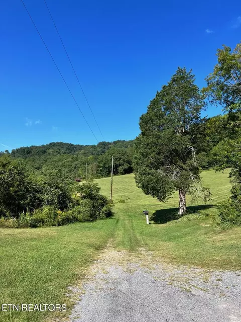 Bailey Drive, Luttrell, TN 37779 photo 8