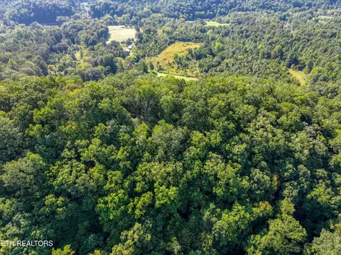 Bailey Drive, Luttrell, TN 37779 photo 37