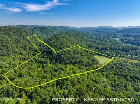 Bailey Drive, Luttrell, TN 37779 photo 2