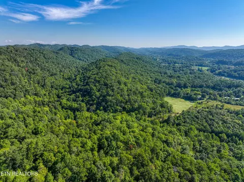 Bailey Drive, Luttrell, TN 37779 photo 40