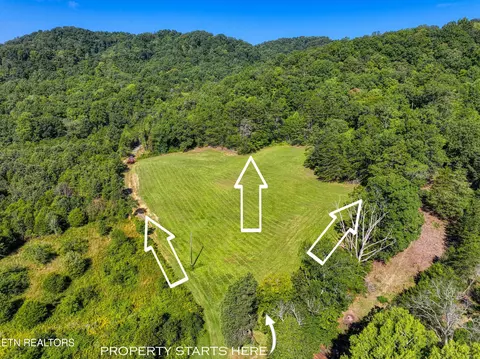 Bailey Drive, Luttrell, TN 37779 photo 3