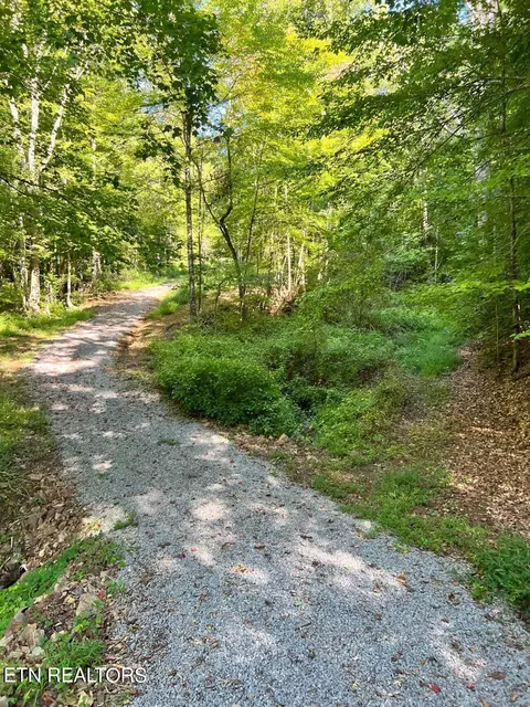Bailey Drive, Luttrell, TN 37779 photo 25
