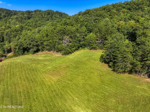 Bailey Drive, Luttrell, TN 37779 photo 17