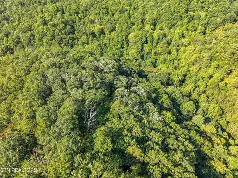 Bailey Drive, Luttrell, TN 37779 photo 36