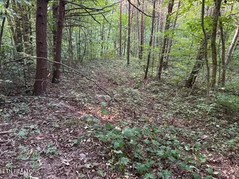 Malone Gap Rd, Maynardville, TN 37807