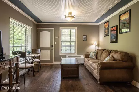7239 E Lamar Alexander Pkwy #206, Townsend, TN 37882