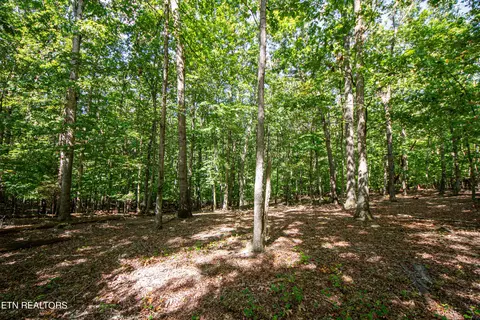 1515 Old Dogwood Tr, Loudon, TN 37774