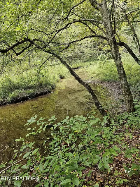 Wilderness Rd, Jonesville, VA 24263