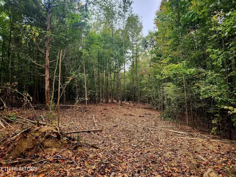 County Road 187, Athens, TN 37303