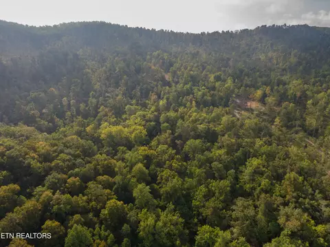 Lake Ln, New Tazewell, TN 37825