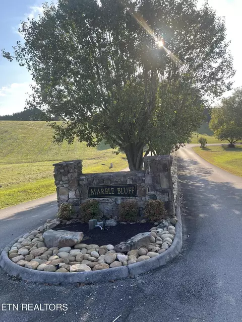 Brabson Court, Kingston, TN 37763