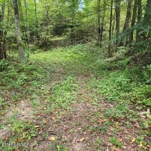 Perry Smith Lane, Caryville, TN 37714