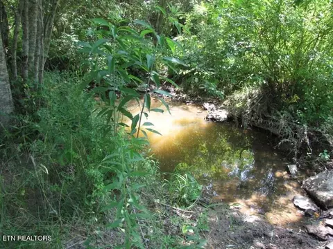 231 Fritts Rd, Lancing, TN 37770 photo 9