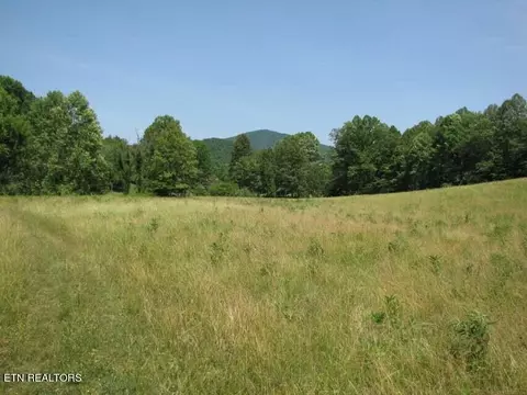 231 Fritts Rd, Lancing, TN 37770 photo 6