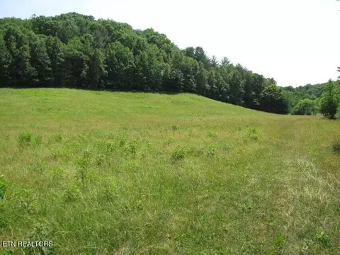 231 Fritts Rd, Lancing, TN 37770 photo 5