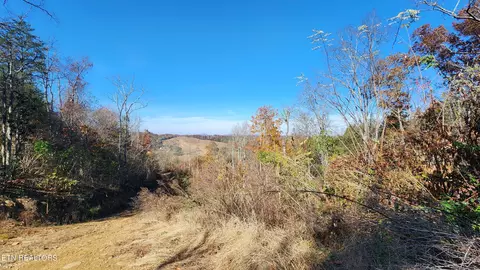 Parton Hollow Rd, Sevierville, TN 37876
