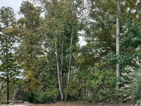 Norris Crest Drive, La Follette, TN 37766