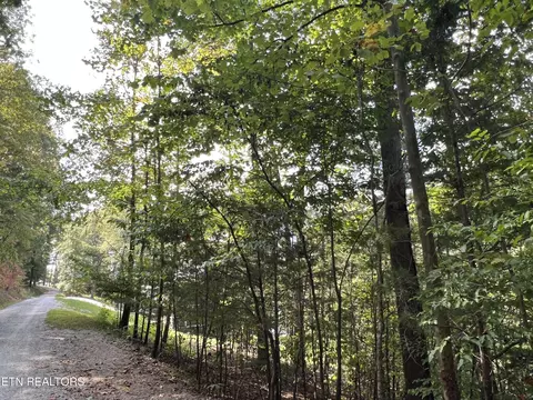 Big Pine Point, La Follette, TN 37766