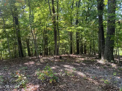 593 River Road Rd, Harrogate, TN 37752 photo 34