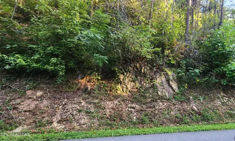 School House Gap Rd, Sevierville, TN 37876