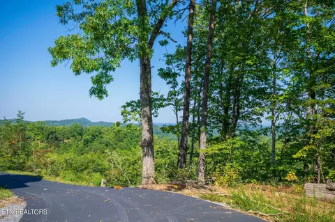 2 Bear Mountain Ln, Sevierville, TN 37876