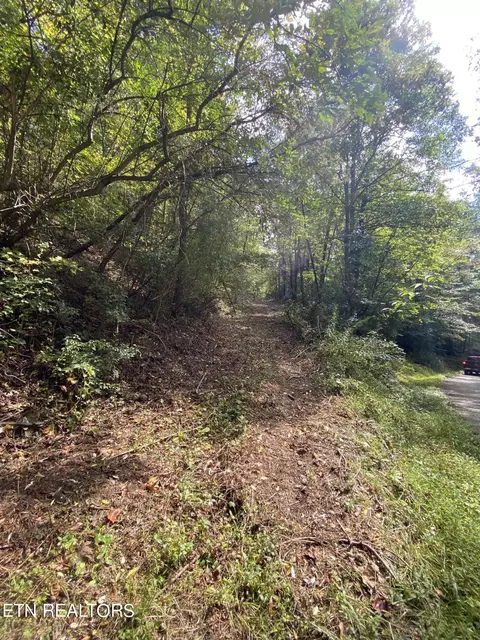 21 Acres Big Four Rd, La Follette, TN 37766