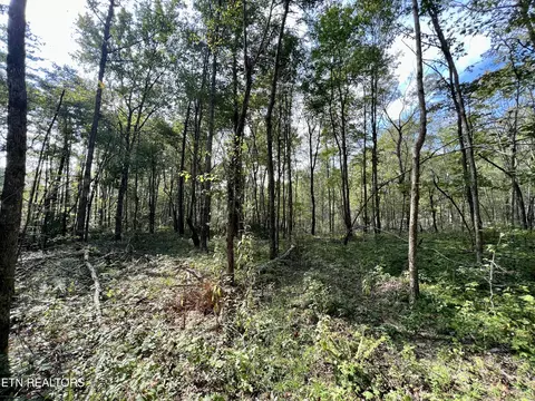 T Cooper Rd, Lancing, TN 37770 photo 34