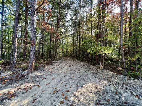 T Cooper Rd, Lancing, TN 37770 photo 25