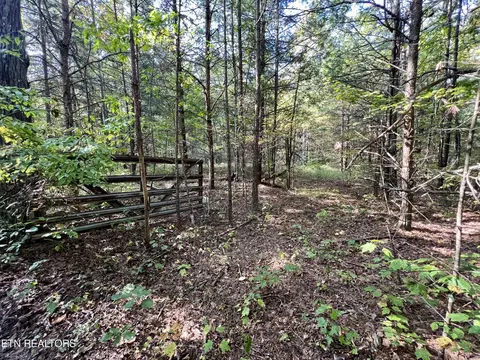 T Cooper Rd, Lancing, TN 37770 photo 27