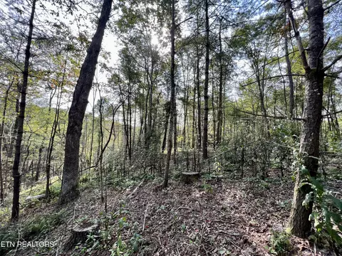 T Cooper Rd, Lancing, TN 37770 photo 33