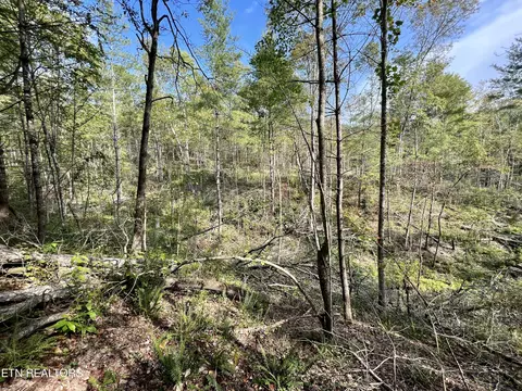 T Cooper Rd, Lancing, TN 37770 photo 31