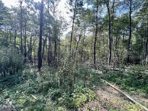 T Cooper Rd, Lancing, TN 37770 photo 30